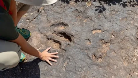 Kazı Yapan Maden İşçisi, 166 Milyon Yıllık Dinozor Ayak İzlerini Keşfetti!
