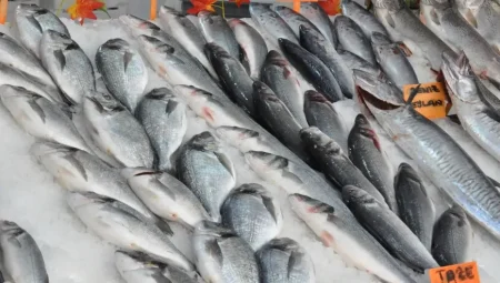 Balık Fiyatlarında 2025 Güncel Değişiklikler: İşte Öne Çıkan Cinsler ve Fiyat Aralıkları