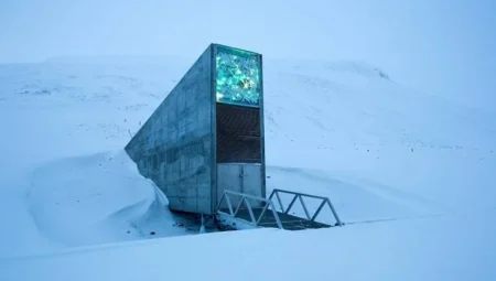 Svalbard Tohum Kasası’na 100.000’den fazla Afrika tohumunun eklenmesi ile yeni bir adım atıldı