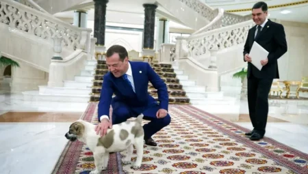 Türkmenistan’da Köpekler İçin Yapılan Devlet Sarayı: Lüks ve Konforun Yeni Adı
