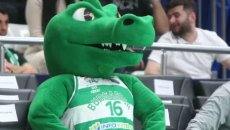 Brezilya’da Bir Futbol Takımının Maskotu Gerçek Bir Timsah: Takımın Sembolü Canlı!