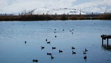 Türkiye’nin Su Gücü: 100 Yılda 17 Binden Fazla Tesisle Tatlı Su Kaynakları Koruma Altında