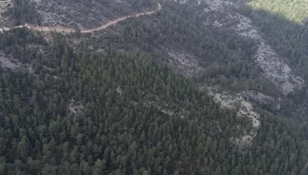 Antalya’da 900 Ağacın Kesileceği Taş Ocağı İçin ÇED Süreci Yeniden Başlatıldı