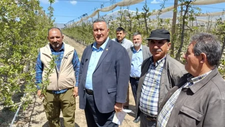 CHP’li Ömer Fethi Gürer: ‘Niğde’de 500 bin ton elma kaybı yaşanacak’